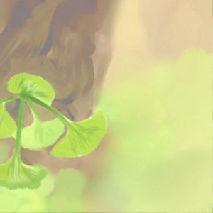 十大家居風水的凶兆