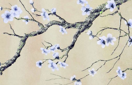 屬牛大暑出生好不好 性格反應