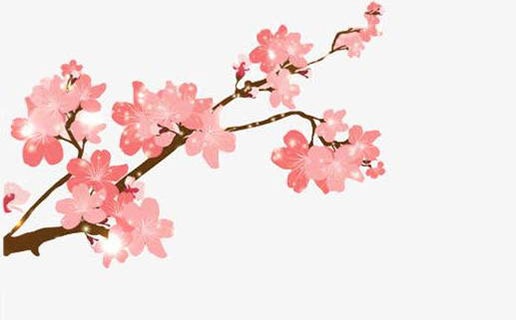 女子生在午時命好不好 何時出生的女人最享福