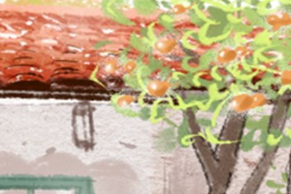 探討：客廳顏色與風水的關係