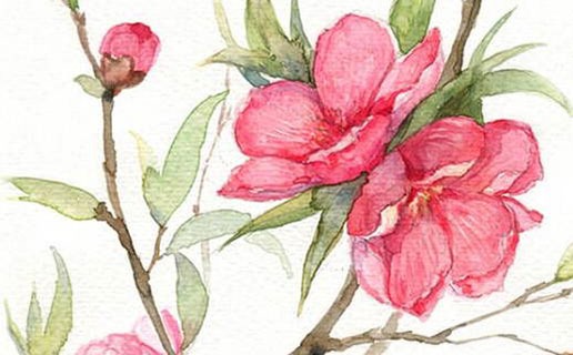 男子生在午時好嗎 午時出生之人的命運