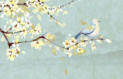 車牌號怎麼選 網申選號技巧