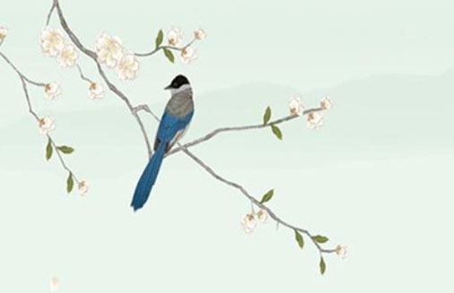 車牌號選110有什麼含義 最吉利的車牌號集錦