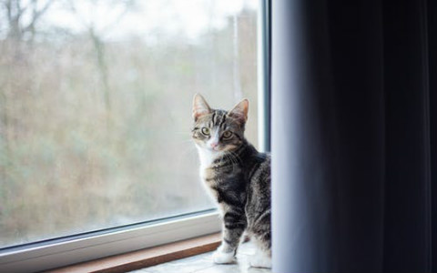 床頭切忌開大窗，謹防隱私被人窺探的一清二楚