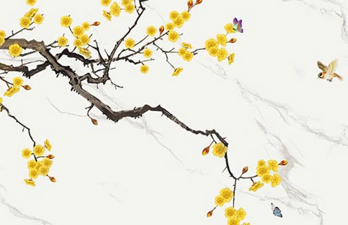 車牌26個字母標準讀音 五行選最旺車牌號