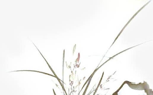 午時出生的屬牛女孩命運 有很大的上升空間