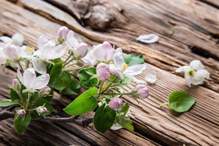 2020年擺放鏡子的15個禁忌