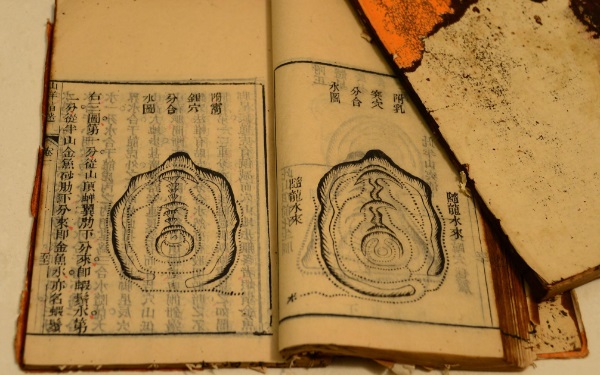 屬鼠人出生時的命運是什麼 子時一生幸福