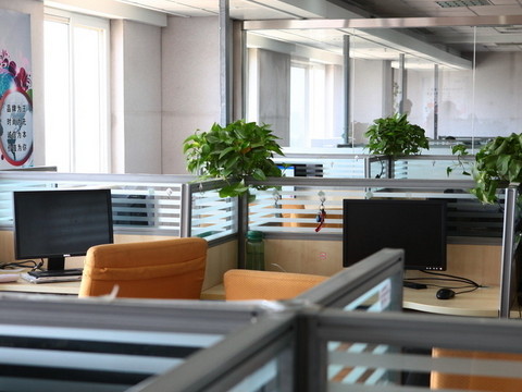 領導辦公室風水學