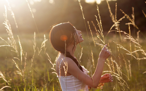 狗上門有什麼講究,善待它,主人受益多多