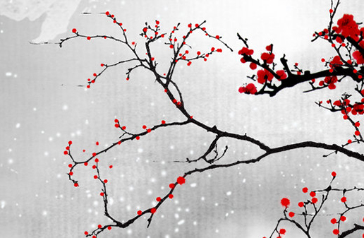 屬牛年月日時辰命運,生肖牛最好的出生時間