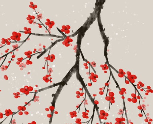 屬牛男孩幾月出生最好命,牛寶寶不適合幾月生