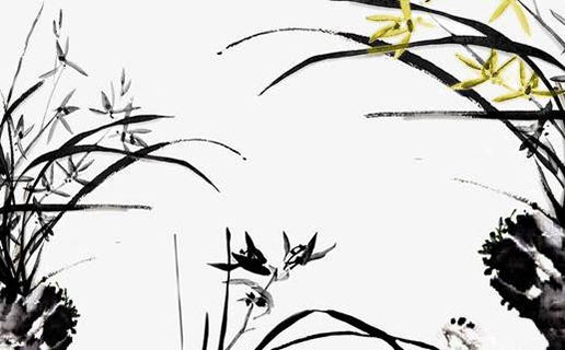 備孕2022年虎寶寶 四月出生的虎寶寶很有責任心