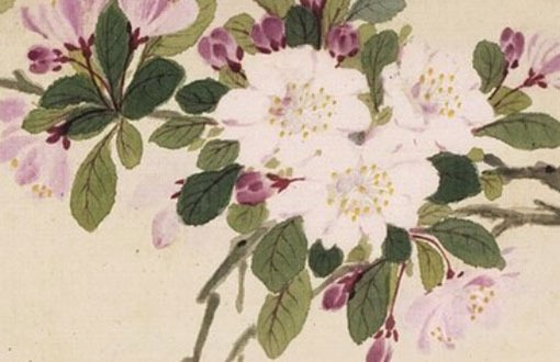 車號牌怎樣選吉利號 關注車管所的投放時間