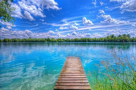 屬豬辦公桌風水擺放位置有何說法？辦公室風水注意事項？