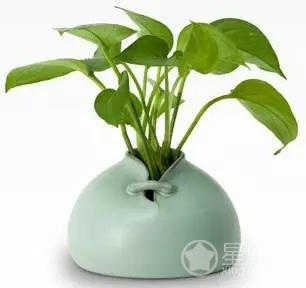 這些東西不宜擺放門口