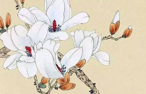 立冬出生的男孩子命運 財利雙收好命屬相