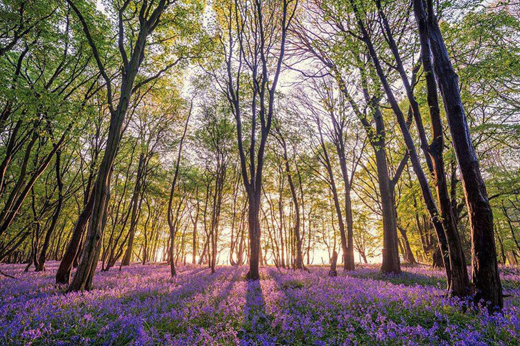風水中的穿心煞如何化解 幾招巧妙化凶煞