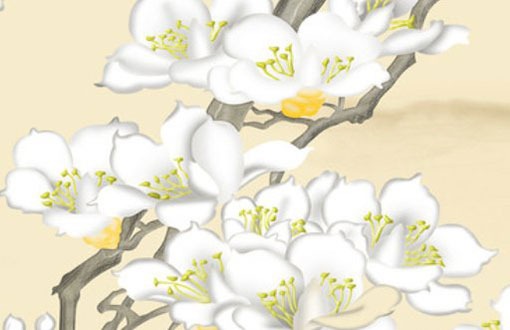 私家車牌號0開頭 數字0五行可保財