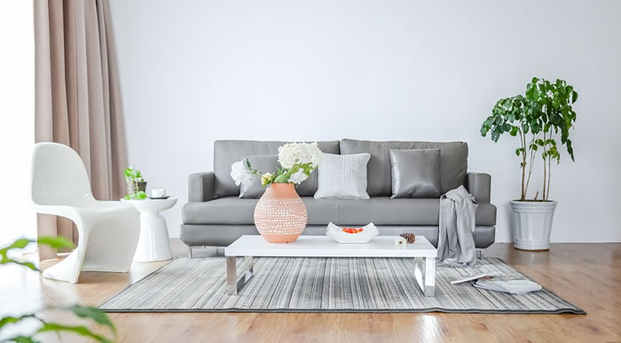 清雅居士:家居風水要注意「兩氣一光」