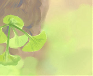 十大家居風水的凶兆