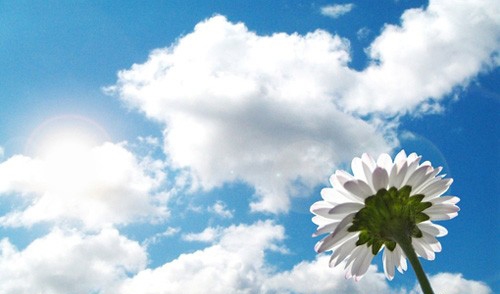 「八星」與「八方」