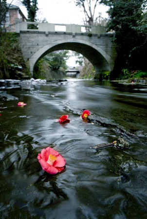好水能凈化空間磁場