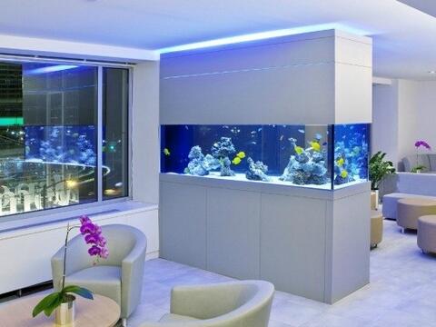 辦公室魚缸放在什麼位置好