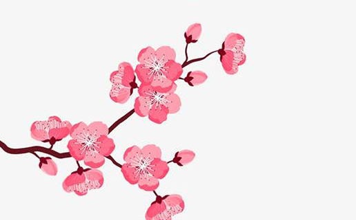 牛寶寶避開幾月生比較好 幾月出生的牛寶寶命好