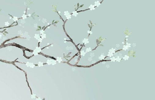 手機號選什麼號碼招財 最熱門的聚財手機號