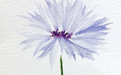 2021年幾月的牛寶寶命好 此年出生的牛寶寶性格如何