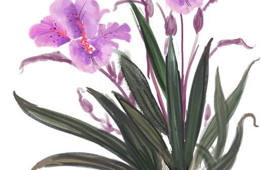 屬牛女孩什麼時辰出生最好,屬牛女生於巳時福祿命