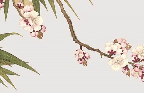 中間是字母的車牌怎麼選 熱門旺婚運車牌號