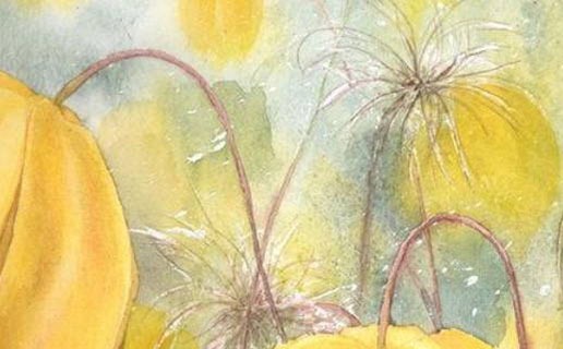 屬鼠的午時出生的男的好不好 午時出生的屬鼠人適合從事什麼行業