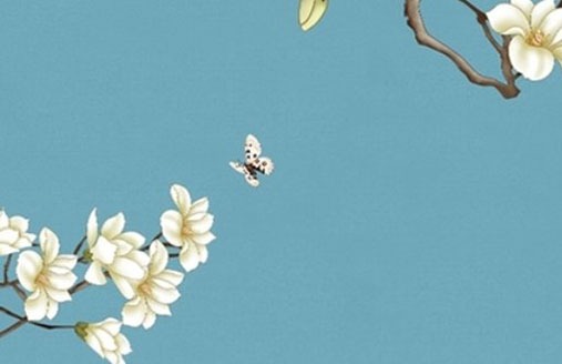 機動車牌尾號是字母 最吉利的牌號分析