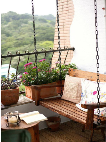 家中擺放這幾種植物旺宅又旺財，提升運勢的家居綠植