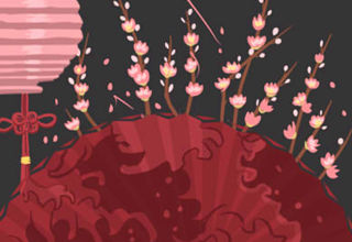 利於身心健康:盤點十八種最適宜室內盆景