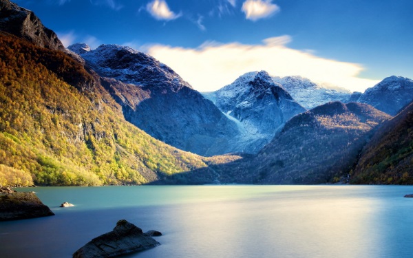 太陽花的寓意和花語是什麼 光明以及沉默的愛