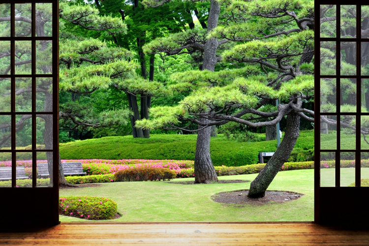 風水中破解朱雀煞的方法 這些方法可以化解煞