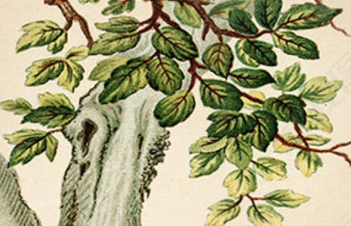 手機號222好不好 五行最旺財運號碼對照