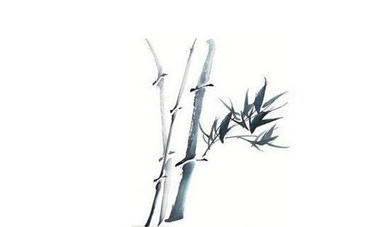 2021年牛寶寶最晚幾月懷孕 2021年幾月出生的寶寶最好