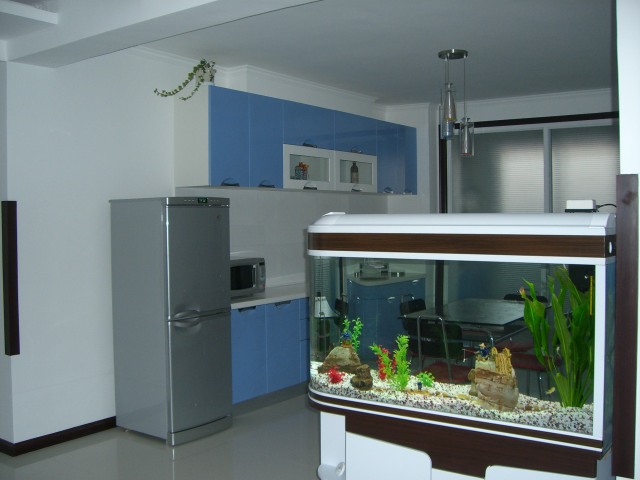 家裡風水魚養幾條