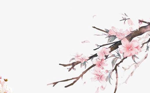 2021年幾月備孕生虎寶寶 2022年虎寶寶運勢