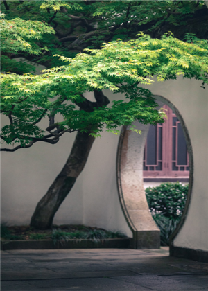 庭院種樹6大風水禁忌，你了解多少？