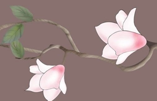 車牌尾數為9很兇 風水旺財運的靚號