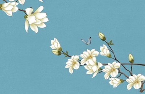 機動車牌尾號是字母 最吉利的牌號分析