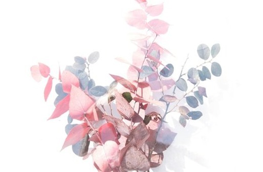 屬牛人幾月出生最好命運,牛人生於哪個時辰財運好