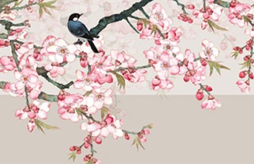 車牌尾數為9很兇 風水旺財運的靚號