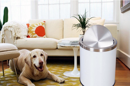 垃圾桶應該如何放置