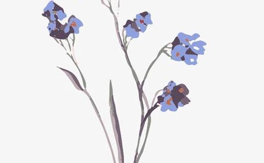 屬牛的午時出生的女孩 午時出生的女孩性格